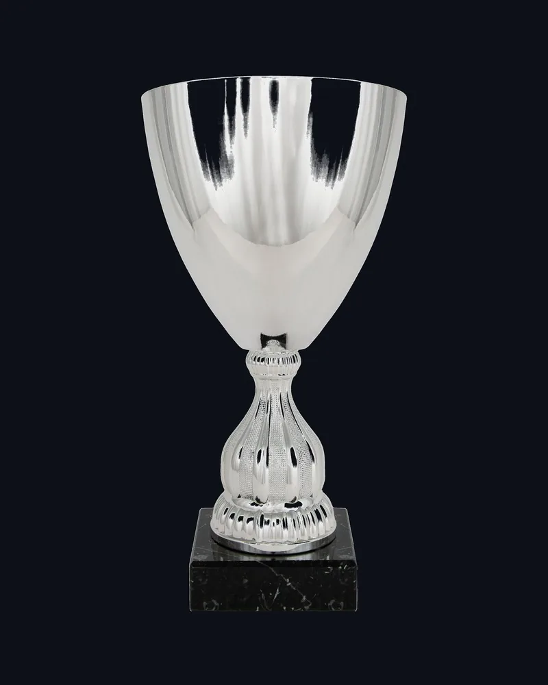 Copa Cono Liso sin Asas