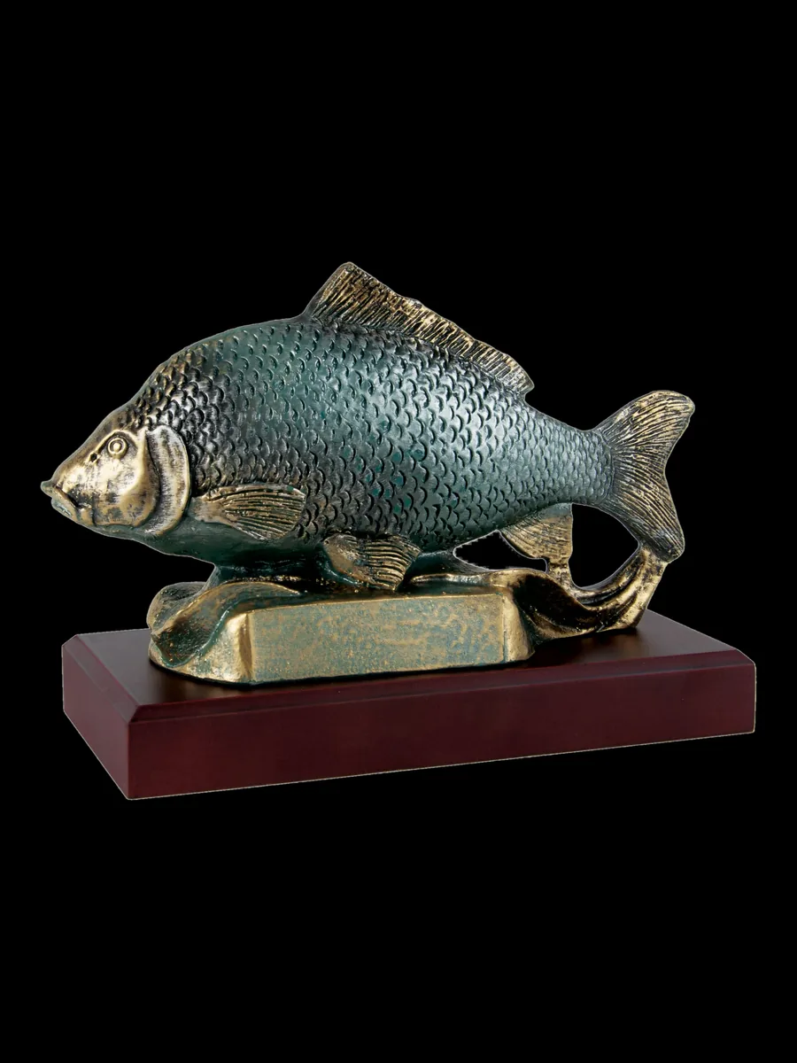 Carpa - Ref 6635