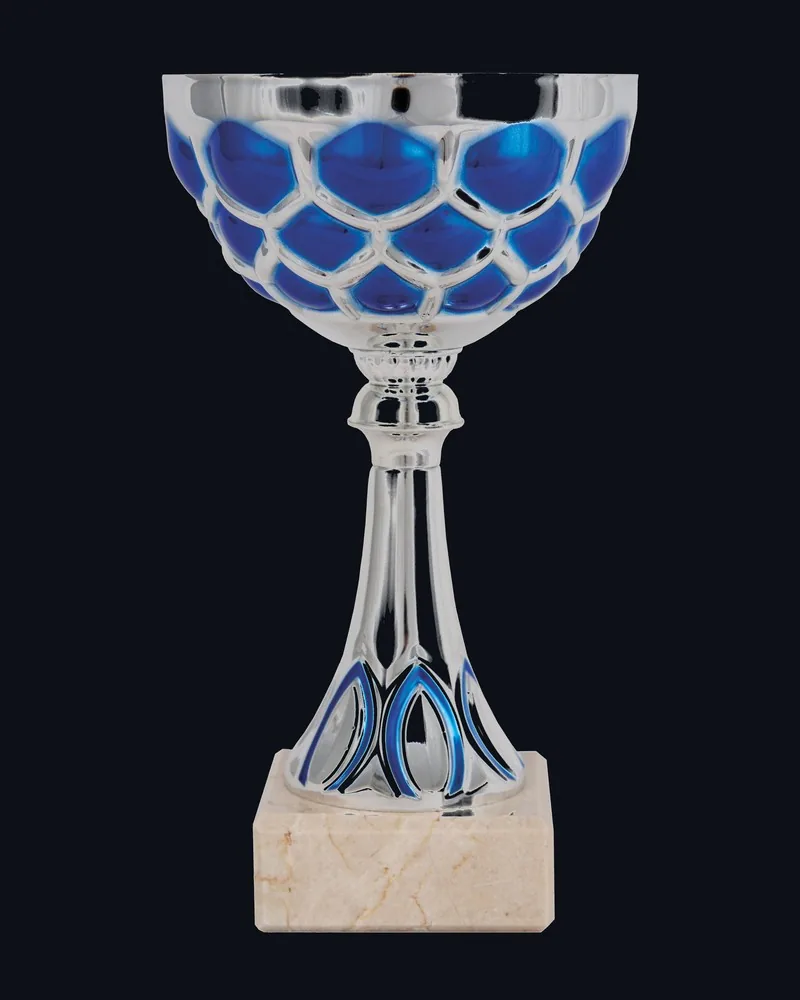Trofeo Hoja Azul y Plata