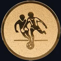 Disco seleccionado